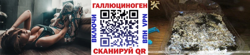Псилоцибиновые грибы мицелий  наркотики  Сухиничи 